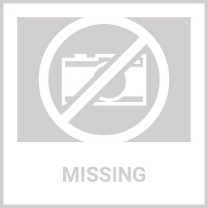 Women Bra Tshirt Sports 4 Piece Sets for Running Sports Yoga